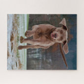 Puzzle Jigsaws de Chien Weimaraner. (Horizontal)