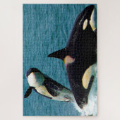 Puzzle Jigsaws Orques ou baleines tueuses (Vertical)