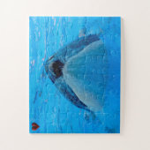 Puzzle Jigsaws Orques ou baleines tueuses (Vertical)