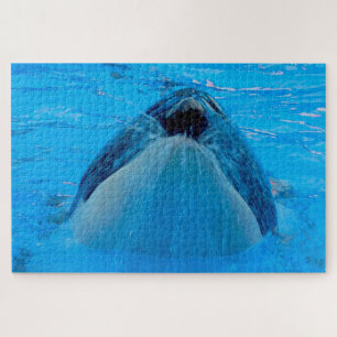 Puzzle Jigsaws Orques ou baleines tueuses
