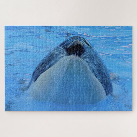 Puzzle Jigsaws Orques ou baleines tueuses (Horizontal)