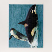 Puzzle Jigsaws Orques ou baleines tueuses (Vertical)