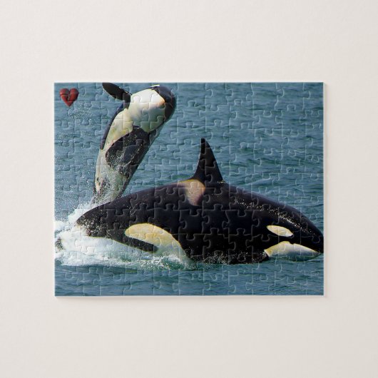 Puzzle Jigsaws Orques ou baleines tueuses (Horizontal)