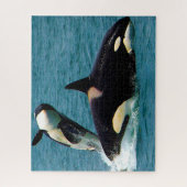 Puzzle Jigsaws Orques ou baleines tueuses (Vertical)