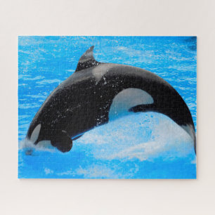 Puzzle Jigsaws Orques ou baleines tueuses