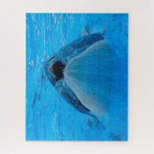 Puzzle Jigsaws Orques ou baleines tueuses (Vertical)
