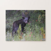 Puzzle Jigsaws Parc national Jasper Canada. (Horizontal)