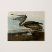 Puzzle John James Audubon Peinture Pélicane Brown (Horizontal)