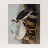 Puzzle John James Audubon White Ibis Bird Print Classic (Vertical)