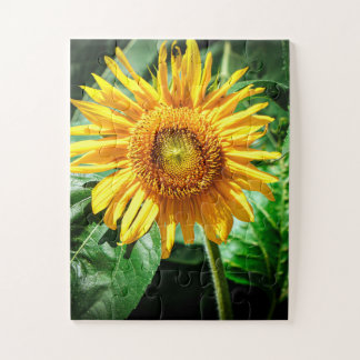 Puzzle Joie de Tournesol
