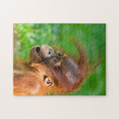 Puzzle Joli bébé orangoutan regarde en émerveillement (Horizontal)