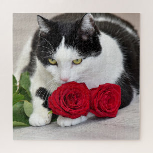 Puzzle Joli chat avec la rose rouge