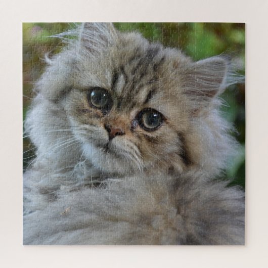 Puzzle Joli chaton persan (Vertical)