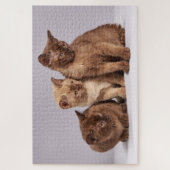 Puzzle Joli Chatons (Vertical)