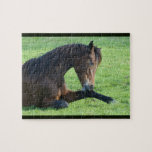 Puzzle Joli Cheval Brown allongé dans l'herbe<br><div class="desc">Un puzzle avec une belle photo représentant un beau cheval de baie brun posé dans l'herbe,  à l'air paisible et contenu.</div>