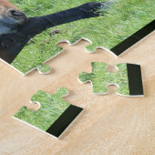 Puzzle Joli Cheval Brown allongé dans l'herbe (Côté)
