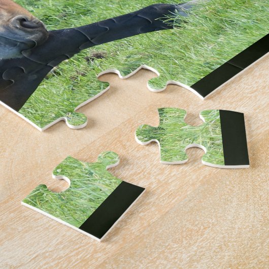 Puzzle Joli Cheval Brown allongé dans l'herbe (Côté)