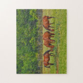 Puzzle Joli Chevaux pâturant dans un Texas Pasture paisib (Vertical)