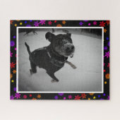 Puzzle Joli chien adorable Black Lab Berger neige (Horizontal)