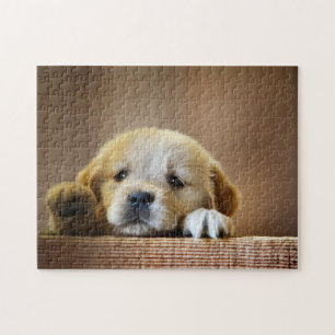 Puzzle - Joli chiot