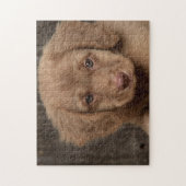 Puzzle - Joli chiot Brown (Vertical)