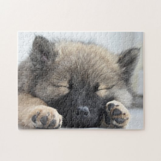 Puzzle Joli chiot Eurasier (Horizontal)