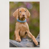 Puzzle Joli chiot hongrois Vizsla Chien Chien Chien Chien (Vertical)