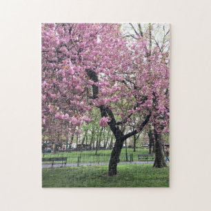 Puzzle Joli dans Pink Cherry Blossom Tree New York