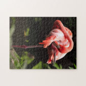 Puzzle Joli Flamant rose rose (Horizontal)