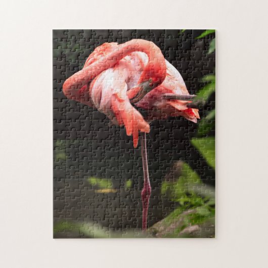 Puzzle Joli Flamant rose rose (Vertical)