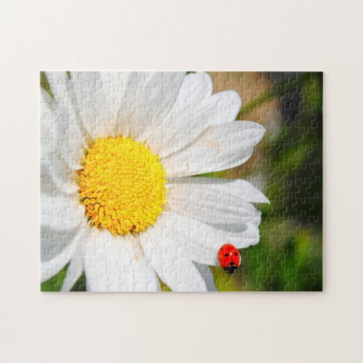 Puzzle Joli Ladybird Sur Marguerite Daisy Flower Plutôt (Horizontal)