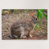 Puzzle Joli lapin sauvage (Horizontal)