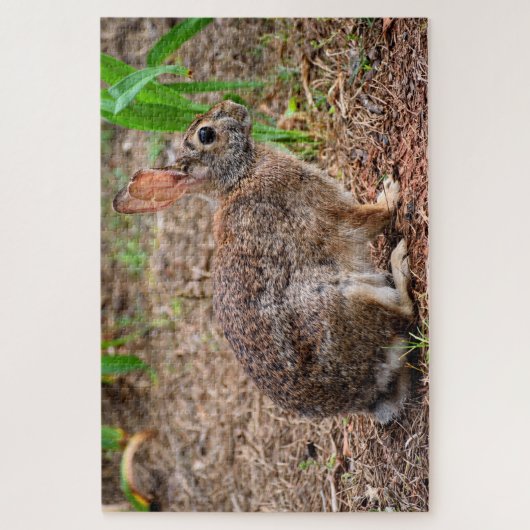 Puzzle Joli lapin sauvage (Vertical)