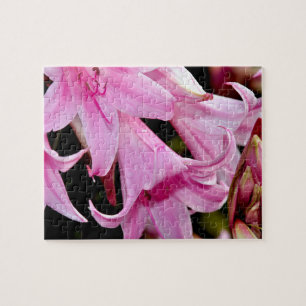 Puzzle Joli lys roses
