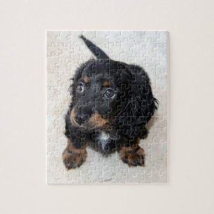 Puzzle Joli noir Dachshund Chien Chien Chien Chien Chien 