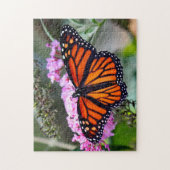 Puzzle Joli papillon Monarque Photo (Vertical)
