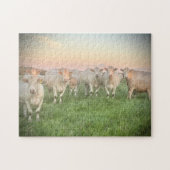 Puzzle Joli Pastel Charolais Cattle in Pastel (Horizontal)