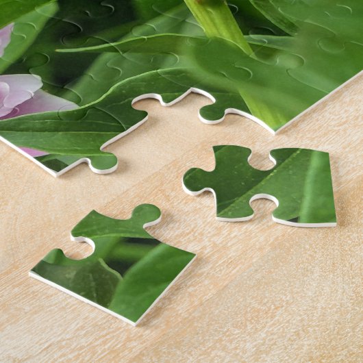 Puzzle Joli Peony Rose (Côté)