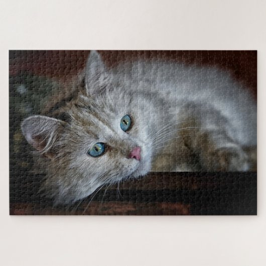 Puzzle Joli petit chat (Horizontal)