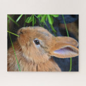 Puzzle Joli Petit Lapin Doré (Horizontal)