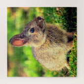 Puzzle Joli Petit Lapin - Douce (Vertical)