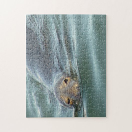 Puzzle Joli phoque de Cape Cod (Vertical)