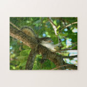 Puzzle Joli Silly Slap Happy Squirrel photo (Horizontal)