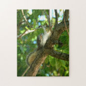 Puzzle Joli Silly Slap Happy Squirrel photo (Vertical)