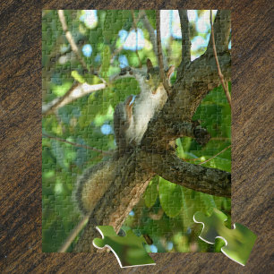 Puzzle Joli Silly Slap Happy Squirrel photo
