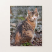 Puzzle Jolie Calico Kitty Chat (Vertical)