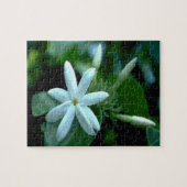 Puzzle Jolie Fleur Stephanotis Blanche (Horizontal)