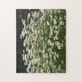 Puzzle Jolie marguerite blanche Photo florale (Vertical)