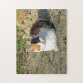 Puzzle Jolie photo de chat Calico (Vertical)