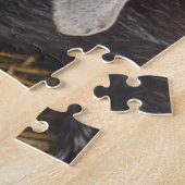 Puzzle Jolie photo de chèvre nubienne (Côté)